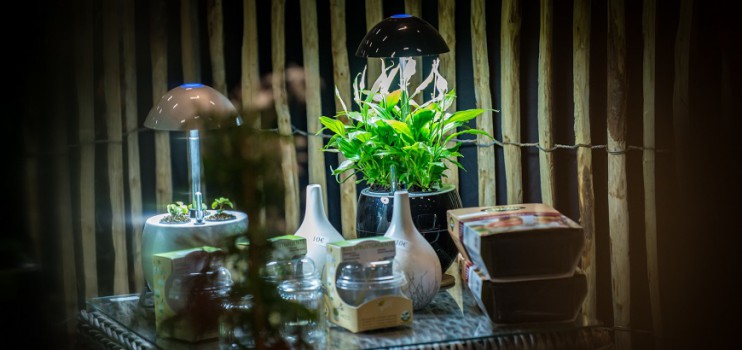 Green Idea, la nature à portée de tous
